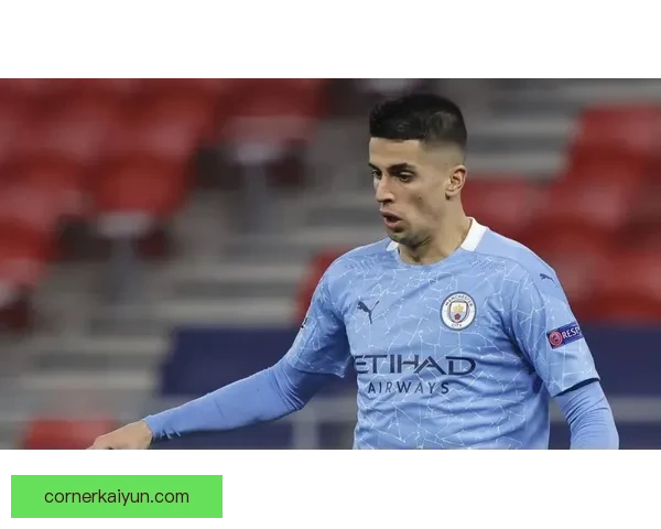 球队转会计划动态分析，近期表现稳健可能影响阵容调整